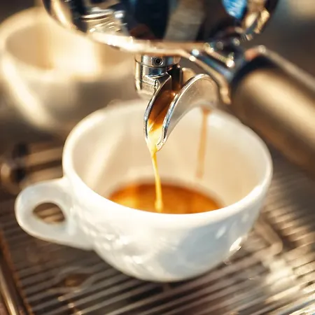 Sercotel Ayala 酒店 4*